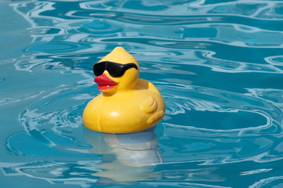 Collect Them All at Lucky Duck Shop!