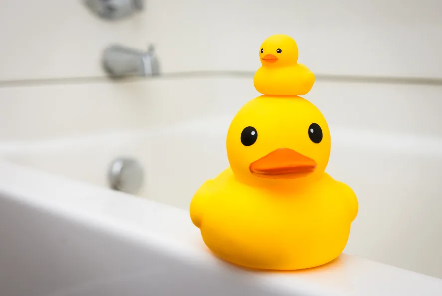 From Bath Time to Display Case: The Rise of the Rubber Ducky as a Collector's Item