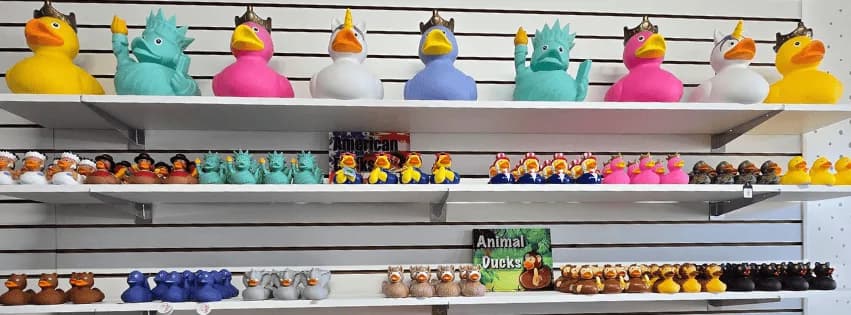 How to Start Your Own Rubber Duck Collection: A Beginner’s Guide