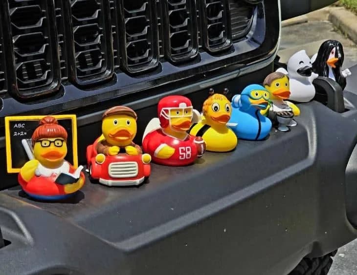 Why Collecting Rubber Ducks is a Fun, Affordable Hobby