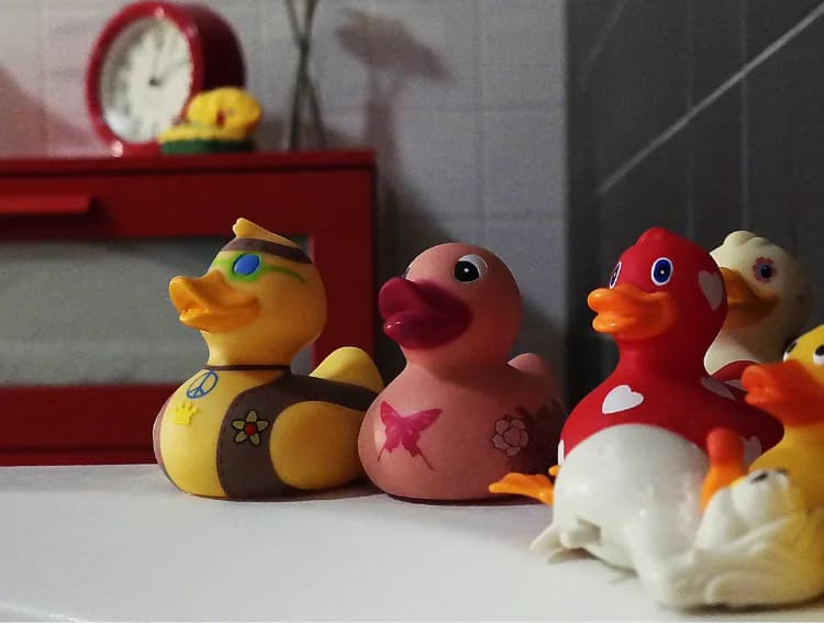 Turn Your Rubber Duck Collection into Art with these Creative Display Ideas