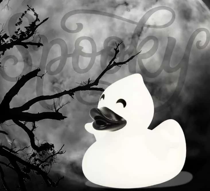 Spooky & Adorable: Halloween-Themed Ducks to Decorate Your Space